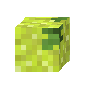 RENOIT_GRAPE