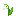 LILY_OF_THE_VALLEY