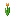 ORANGE_TULIP