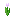 PINK_TULIP