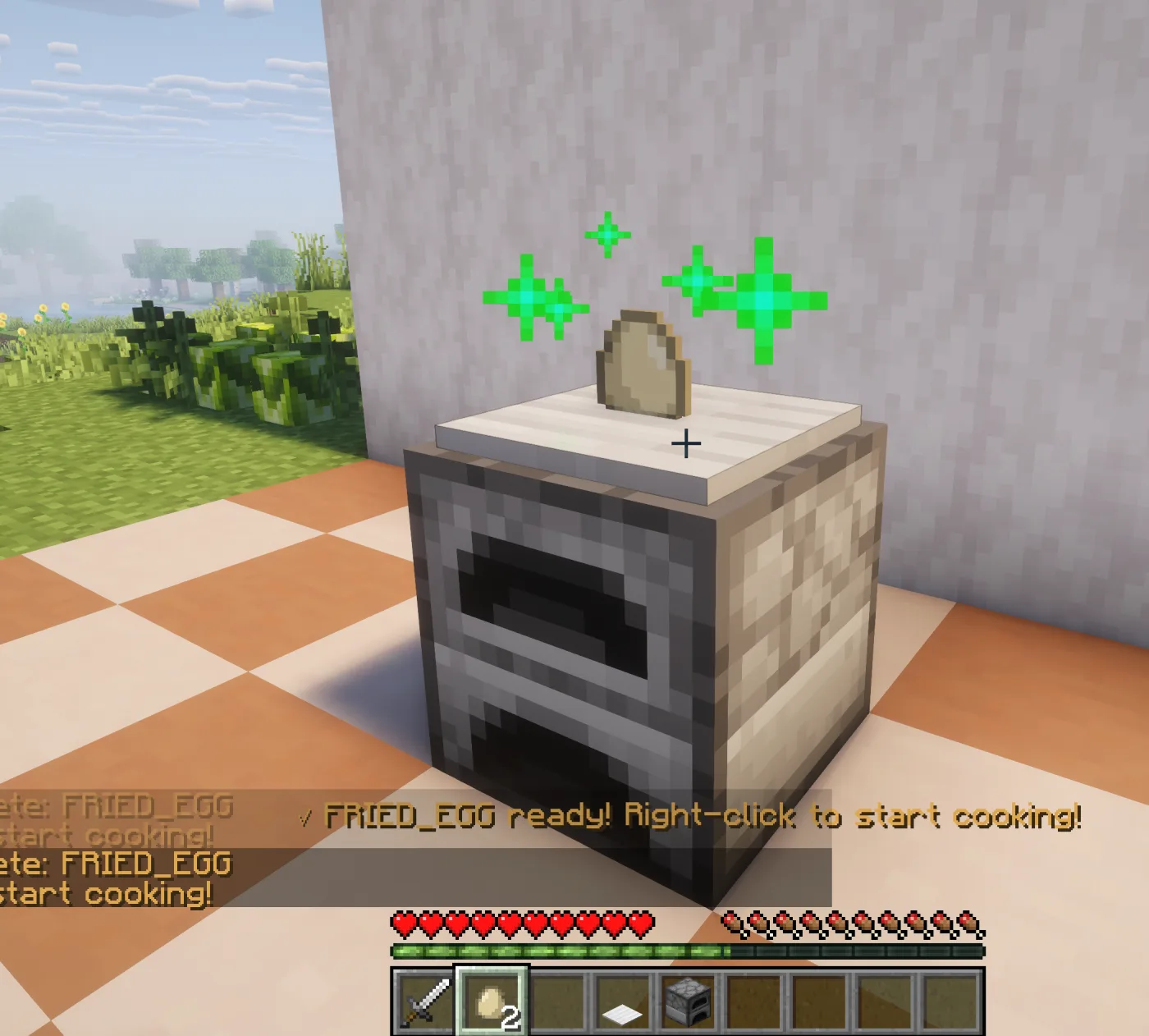 Egg placed on the Frying Pan